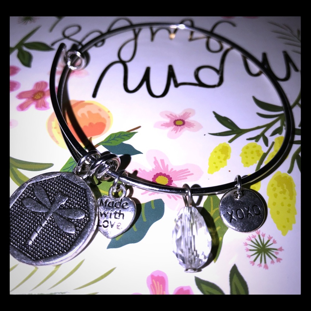 🔥3/$15🧊 Dragonfly charm bracelet